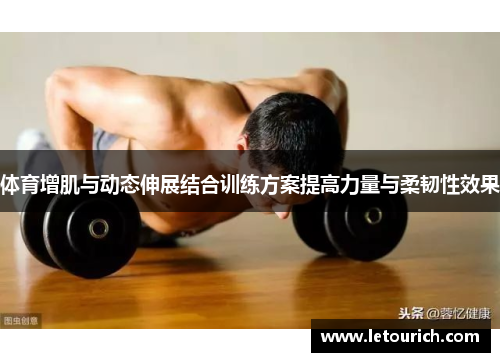 体育增肌与动态伸展结合训练方案提高力量与柔韧性效果