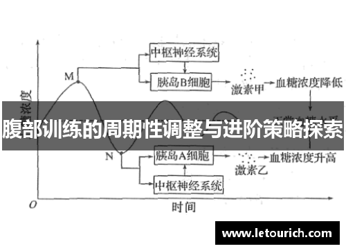 腹部训练的周期性调整与进阶策略探索